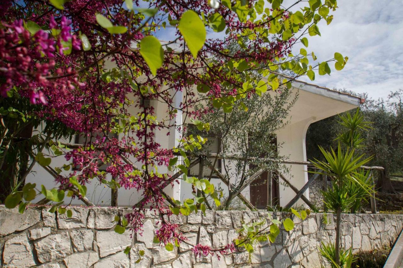 Village Valle D'Oro Aparthotel San Menaio Exterior photo
