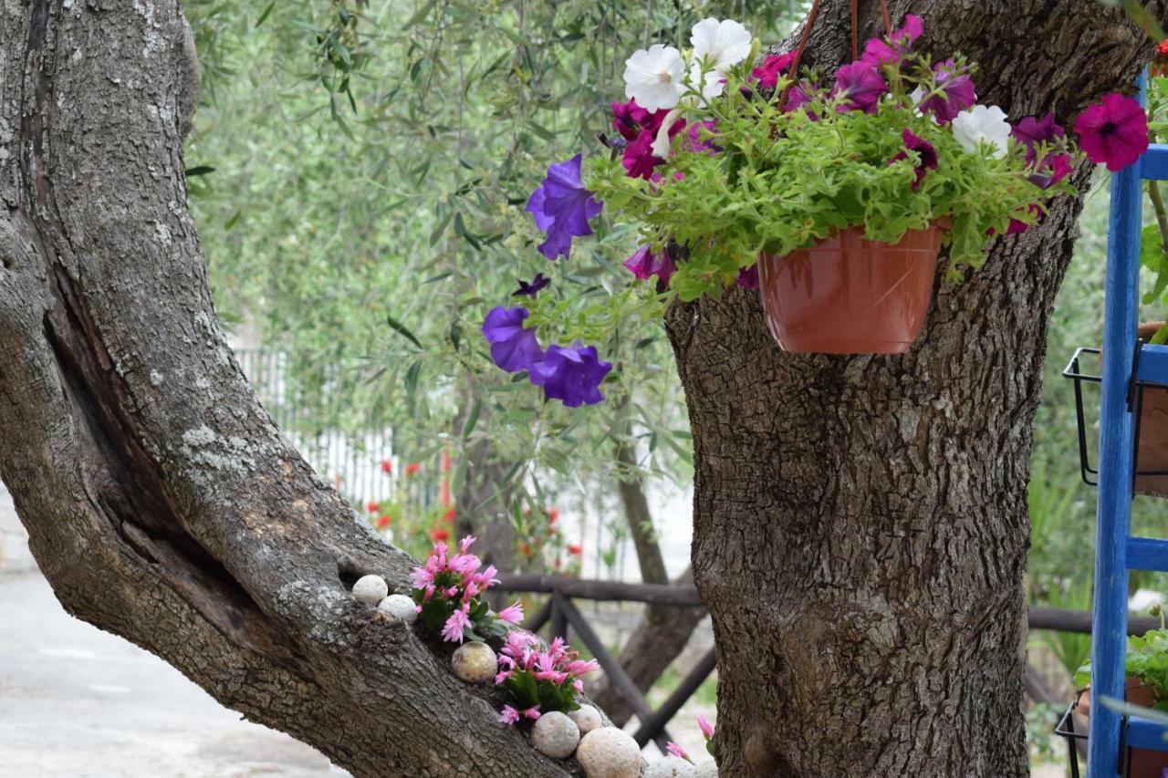 Village Valle D'Oro Aparthotel San Menaio Exterior photo